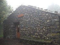 fugio Saletti-20101010 020